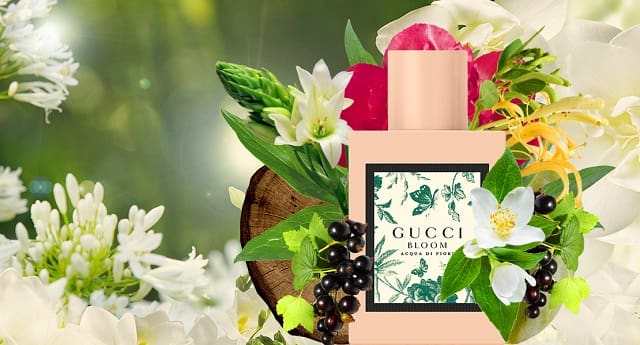 Nước hoa Gucci Bloom Acqua Di Fiori EDT 2
