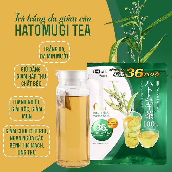 Trà trắng da Hayari Hatomugi Tea Nhật Bản 36 túi lọc 5