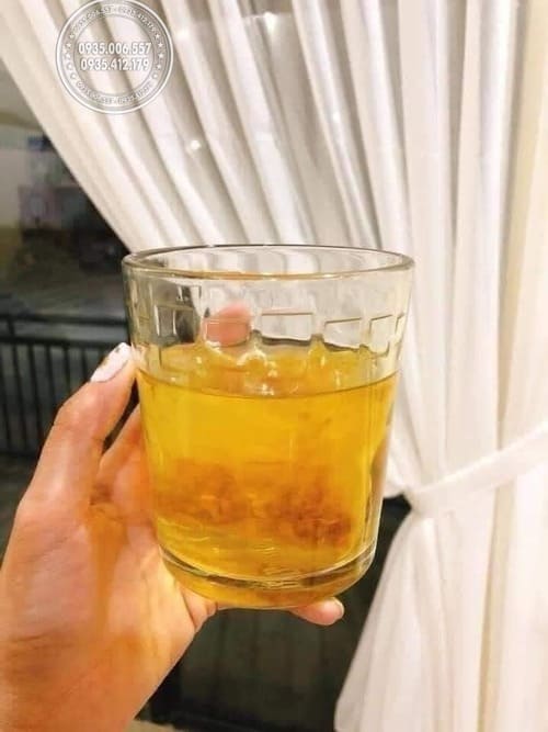 Cách sử dụng trà nghệ Orihiro Ukon Tea hiệu quả từ chuyên gia