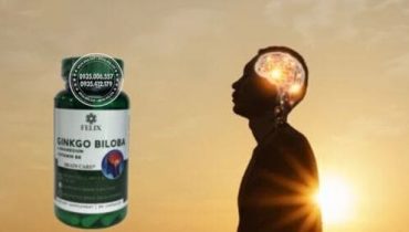 Cách dùng thuốc Felix Ginkgo Biloba chuẩn, hiệu quả – Bạn đã biết chưa?