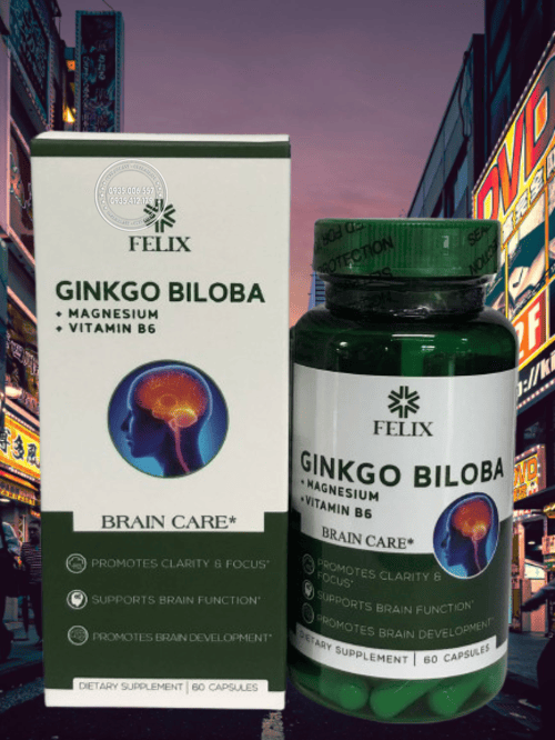 cach-dung-thuoc-felix-ginkgo-biloba-chuan-hieu-qua-ban-da-biet-chua1