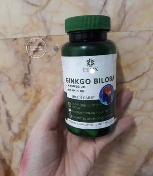 cach-dung-thuoc-felix-ginkgo-biloba-chuan-hieu-qua-ban-da-biet-chua2