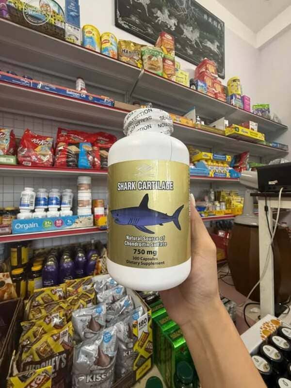 Shark Cartilage 750mg Của Mỹ Có Tốt Không? Review chi tiết từ người dùng